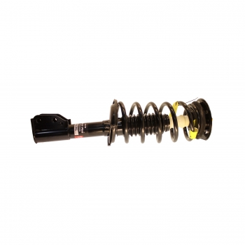 Suspension Strut and Coil Spring Assembly