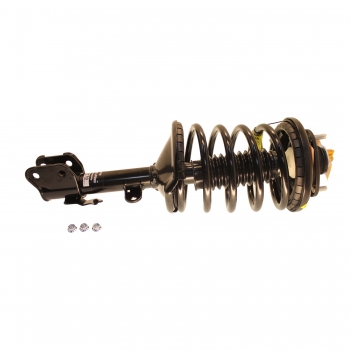 Suspension Strut and Coil Spring Assembly