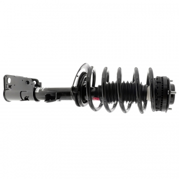 Suspension Strut and Coil Spring Assembly