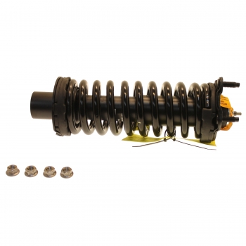 Suspension Strut and Coil Spring Assembly