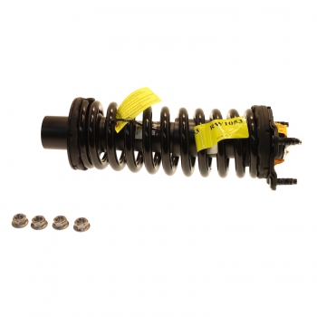 Suspension Strut and Coil Spring Assembly