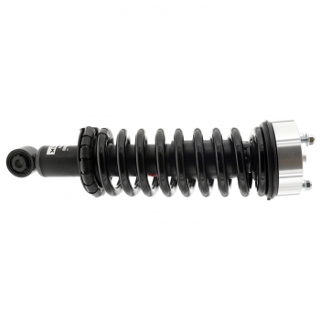 Suspension Strut and Coil Spring Assembly