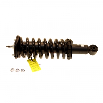 Suspension Strut and Coil Spring Assembly