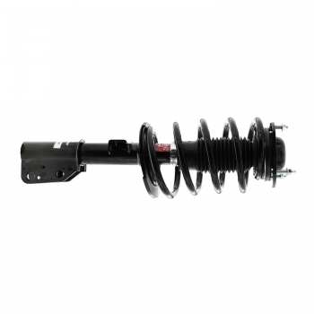 Suspension Strut and Coil Spring Assembly