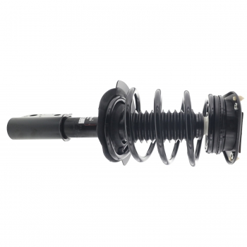 Suspension Strut and Coil Spring Assembly