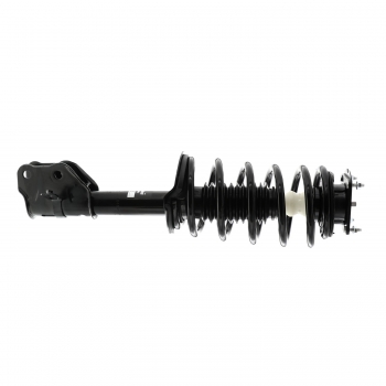 Suspension Strut and Coil Spring Assembly