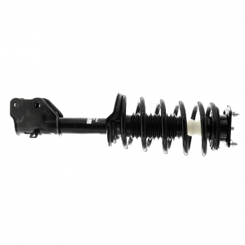 Suspension Strut and Coil Spring Assembly