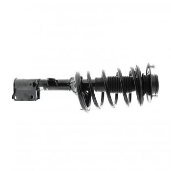 Suspension Strut and Coil Spring Assembly