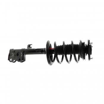 Suspension Strut and Coil Spring Assembly