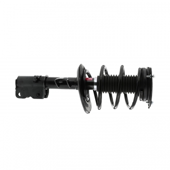 Suspension Strut and Coil Spring Assembly