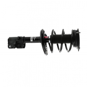 Suspension Strut and Coil Spring Assembly