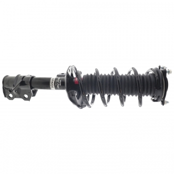 Suspension Strut and Coil Spring Assembly