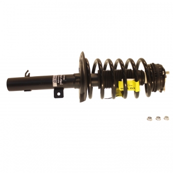 Suspension Strut and Coil Spring Assembly