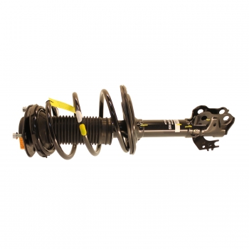 Suspension Strut and Coil Spring Assembly