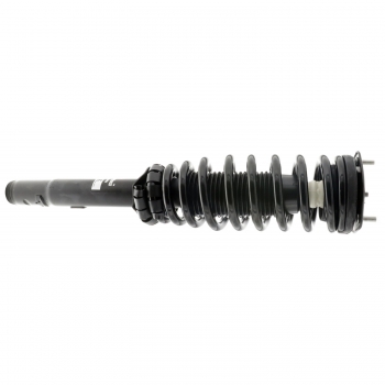 Suspension Strut and Coil Spring Assembly