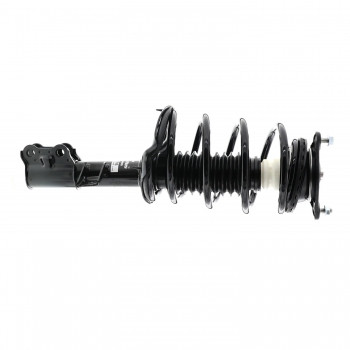 Suspension Strut and Coil Spring Assembly