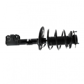 Suspension Strut and Coil Spring Assembly