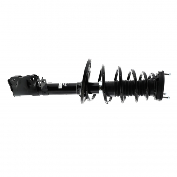 Suspension Strut and Coil Spring Assembly