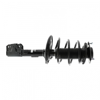 Suspension Strut and Coil Spring Assembly