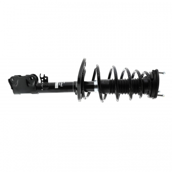 Suspension Strut and Coil Spring Assembly