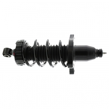 Suspension Strut and Coil Spring Assembly