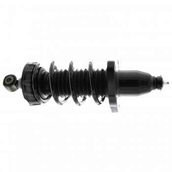 Suspension Strut and Coil Spring Assembly