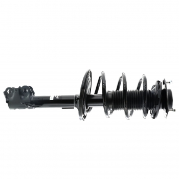 Suspension Strut and Coil Spring Assembly