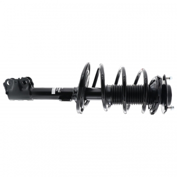 Suspension Strut and Coil Spring Assembly