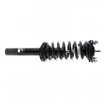 Suspension Strut and Coil Spring Assembly