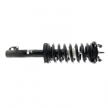 Suspension Strut and Coil Spring Assembly
