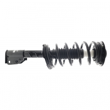Suspension Strut and Coil Spring Assembly