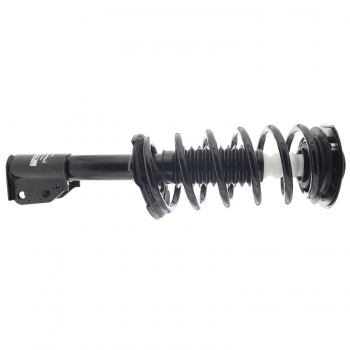 Suspension Strut and Coil Spring Assembly