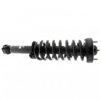 Suspension Strut and Coil Spring Assembly