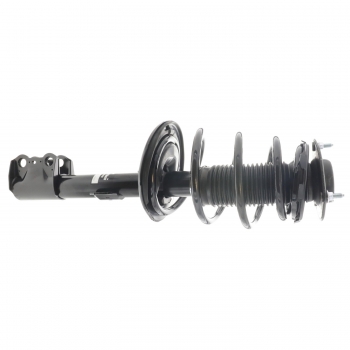 Suspension Strut and Coil Spring Assembly