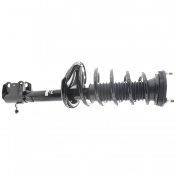 Suspension Strut and Coil Spring Assembly
