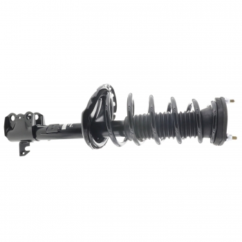 Suspension Strut and Coil Spring Assembly