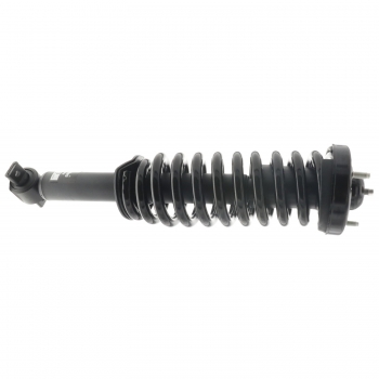 Suspension Strut and Coil Spring Assembly