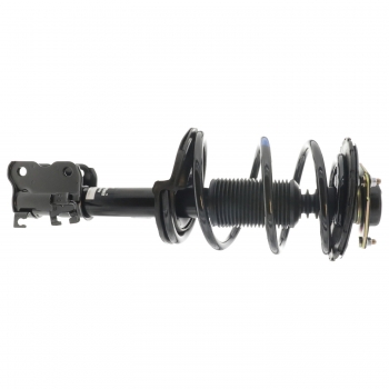 Suspension Strut and Coil Spring Assembly