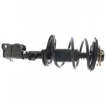 Suspension Strut and Coil Spring Assembly
