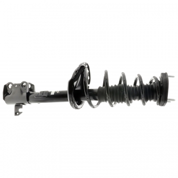 Suspension Strut and Coil Spring Assembly