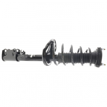 Suspension Strut and Coil Spring Assembly