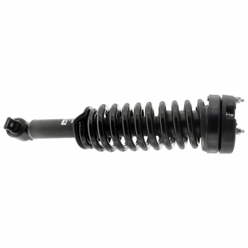 Suspension Strut and Coil Spring Assembly
