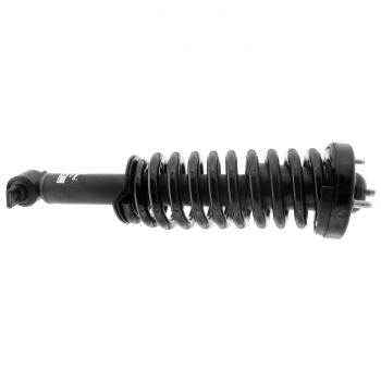 Suspension Strut and Coil Spring Assembly