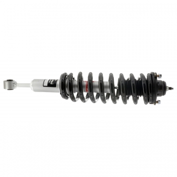 Suspension Strut and Coil Spring Assembly