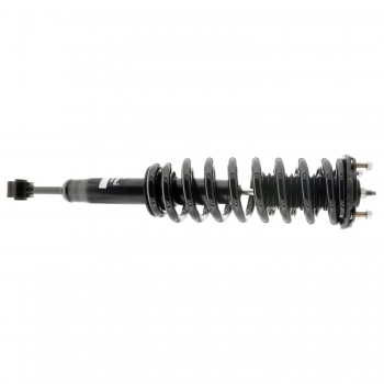 Suspension Strut and Coil Spring Assembly