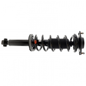 Suspension Strut and Coil Spring Assembly