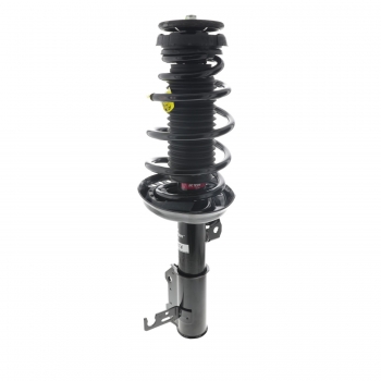 Suspension Strut and Coil Spring Assembly