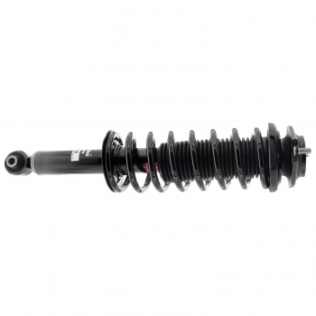 Suspension Strut and Coil Spring Assembly