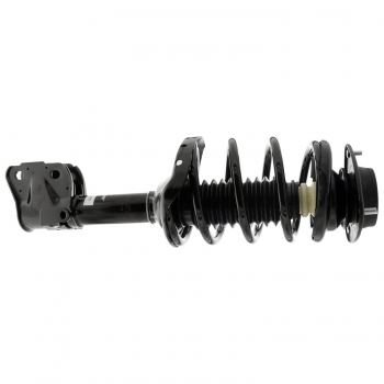 Suspension Strut and Coil Spring Assembly