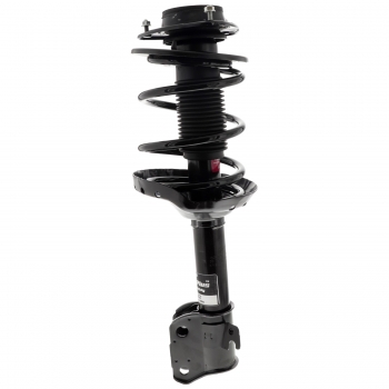 Suspension Strut and Coil Spring Assembly